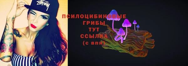 крисы Вязники