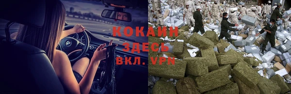 крисы Вязники