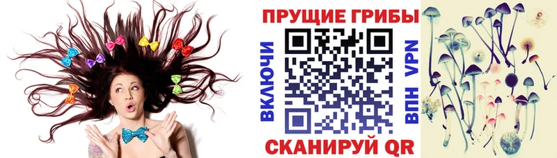 Купить закладки Касли Галлюциногенные грибы Psilocybe