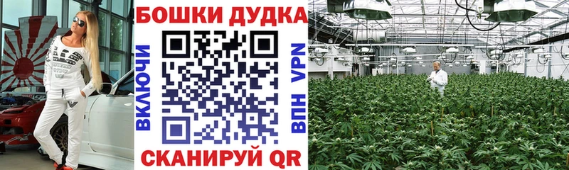 Шишки марихуана OG Kush Касли